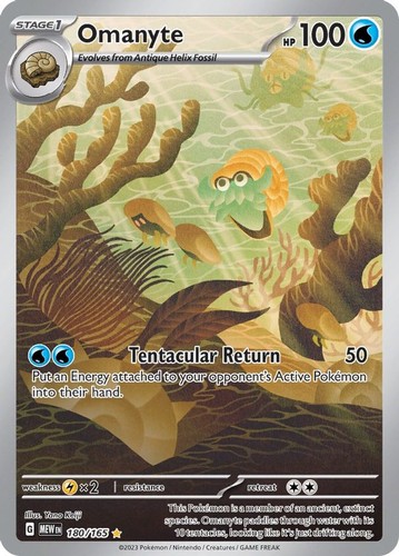 Omanyte 180 165 - omanyte,