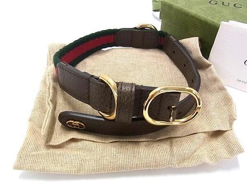 Gucci collare per cani 692943 - collare,