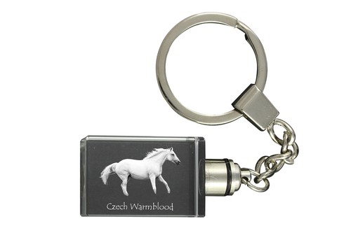 Ceco warmblood orologio - warmblood,