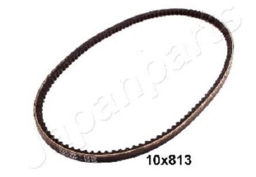 10x800 cinghia dinamo - 10x800,