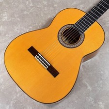 Chitarra flamenco raimundo - chitarra,