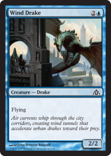 Wind drake dragon - -, maze