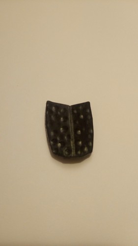 Micronauti lobros scudo - micronauti,