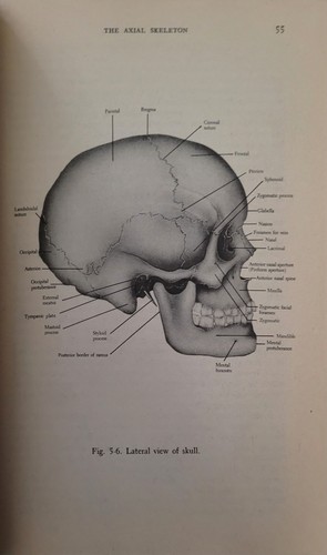 1959 anatomy and physiology - anatomy,
