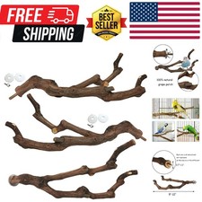 Pappagallo naturale persico