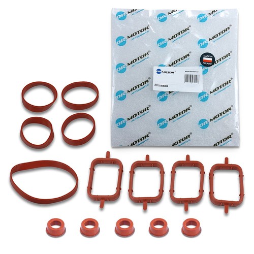 Set guarnizioni collettore - set,