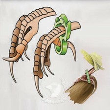 Anello Correttore Zampe