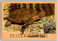 #3293b Sonoran Desert