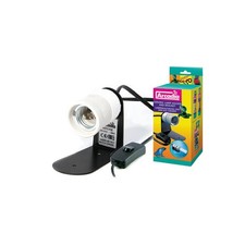 Arcadia Porta Lampada In