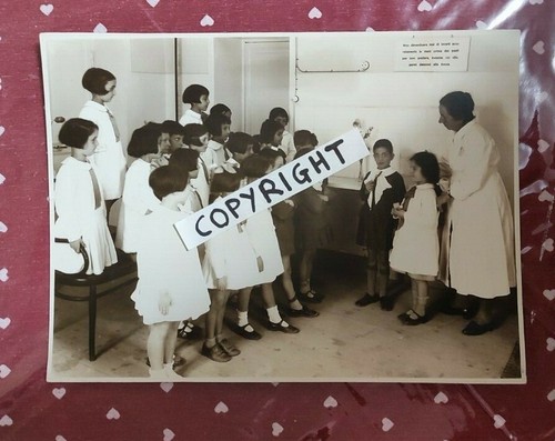 Foto scolaresca scuola - foto,