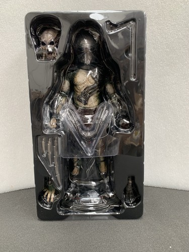 Predators falconer predator - -,