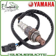 Sonda Lambda Collettore di