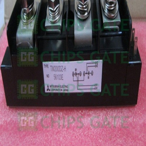 1pz nuovo modulo - 1pz, tm200dz-h