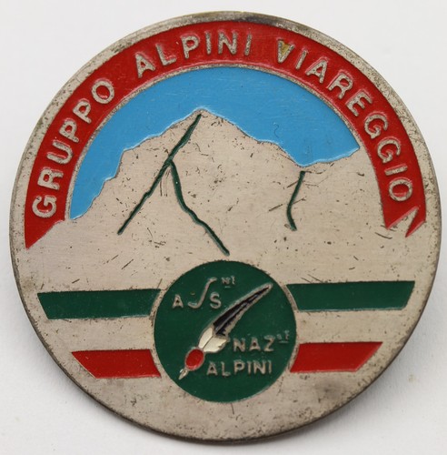 Distintivo alpini gruppo - distintivo,