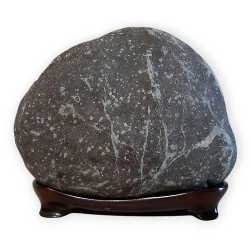 Pietra suiseki giapponese - pietra,