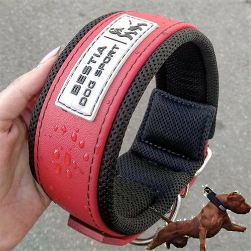 Bestia dog sport - bestia,