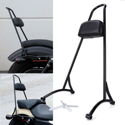 Passenger backrest sissy bar - passenger,