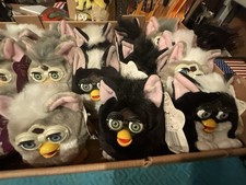 UNA NUOVA ETICHETTA PELUCHE