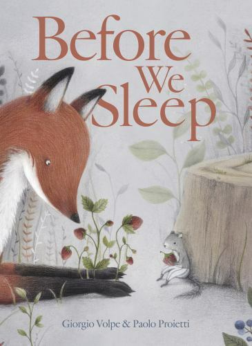 Before sleep hardcover by - hardcover,