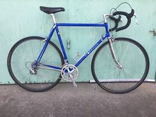 Vintage Pinarello Treviso 58cm