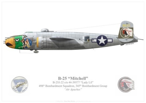 Print 25j mitchell lady - print,