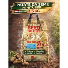 Patate da Seme Minituberi