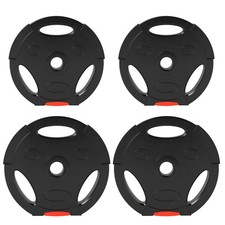 SPORTNOW Kit Pesi con 2 Dischi