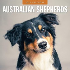 Australian Shepherds 2026