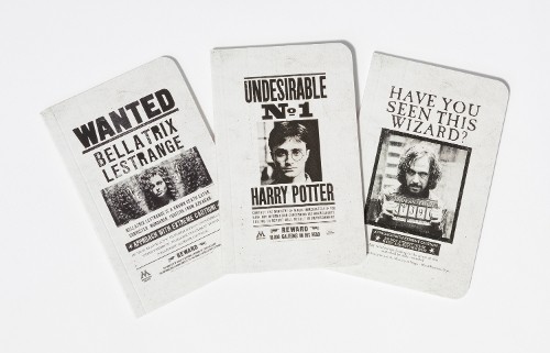 Harry potter wanted - wanted, posters