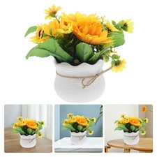  Pianta in vaso di girasole