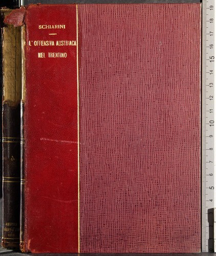 Offensiva austriaca nel - austriaca,