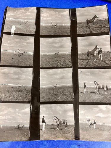 Provino foto epoca - 12,