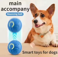 GIOCO PER CANI, PALLA