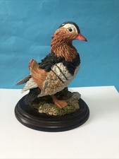V Rare Mandarin Duck - Country