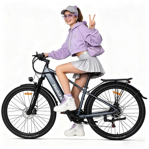 Pedelec city bike - pedelec, 29"