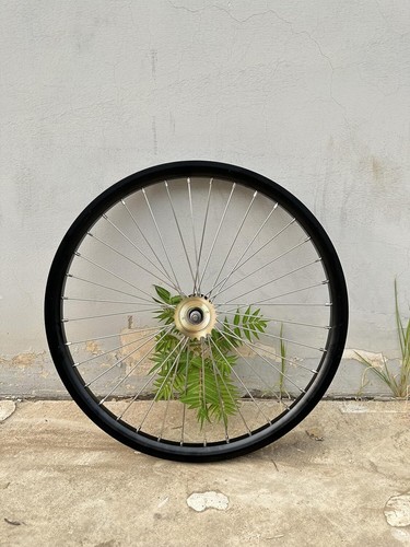 Ruota raggi posteriori - a,