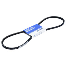 Polini Cinghia Dentata