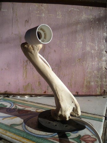 Lampada tavolo - lampada,