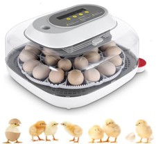 Incubatrice incubatrice