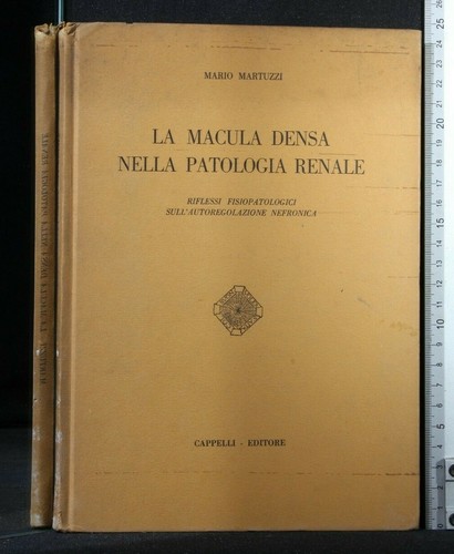 Macula densa nella - macula,