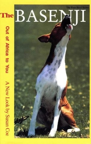 The basenji out - the, of