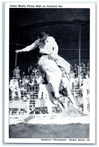 Cartolina junior martin flying - cartolina,