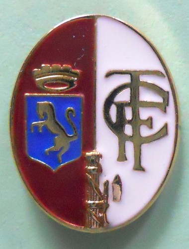 Distintivo spilla pin badge - pin,