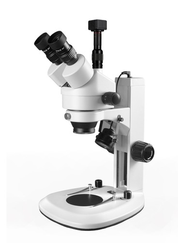 Microscopio stereo zoom