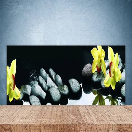 Paraschizzi cucina 100x50 - paraschizzi,