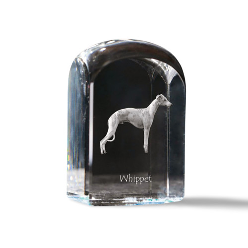 Whippet piccolo inglese - whippet,piccolo,