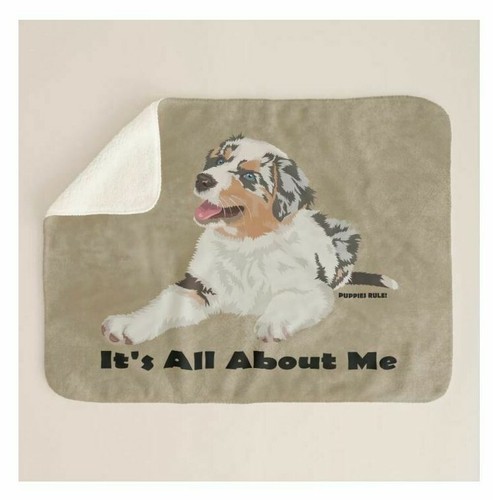 Australian shepherd dog about - shepherd,