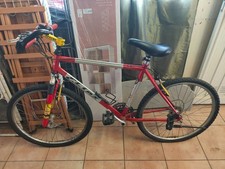 bicicletta mtb uomo usata