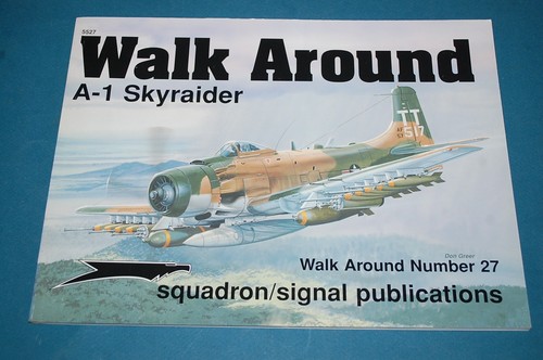 Skyraider walk around - skyraider,