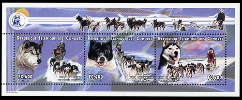 Husky dog postage stamp mini - husky,